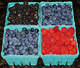 Berries
