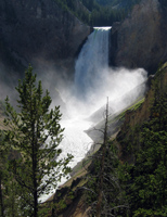 Yellowstone Lower Falls