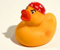 Pirate Duck