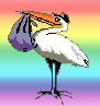 Stork
