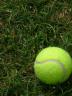 Tennis Ball
