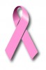 Melissa Etheridge and Breast Cancer Donation